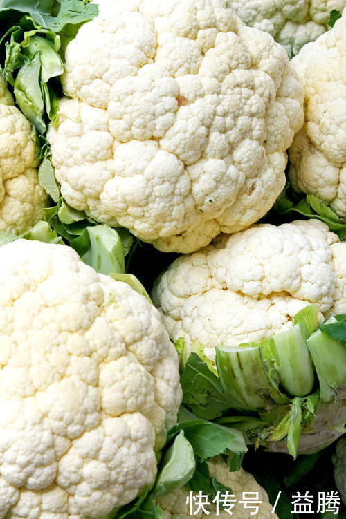 适合冬季多吃的蔬菜，个个营养充足！