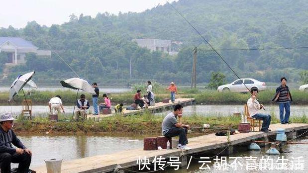拉面哥|朱之文垂钓园,为何现在无人光顾其实,他需要做好这七点