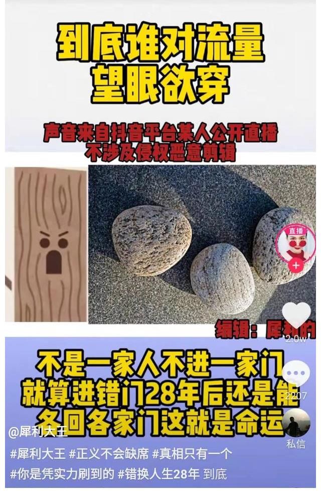 |真是活成了个笑话！杜新枝直播，熊磊提醒她骂骂许敏，涨点流量