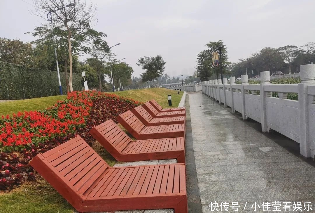 鲜花盛开、碧道蜿蜒……番禺这条“网红河”又添美景！