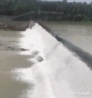 |搞笑GIF趣图：夫妻相相似度百分之九十九，好幸福哦