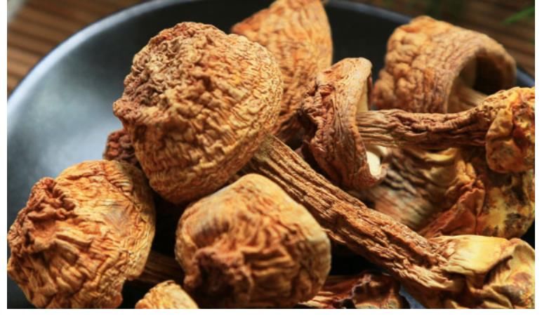 医生|24岁女子查出高危HPV，后悔不已，医生：仗着年轻，太无知了