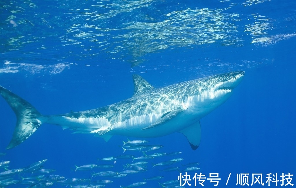 28个冷知识:真实存在于这个世界,全知道的人很少