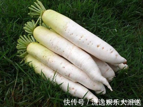 气虚|白萝卜补肾方治一个准,7天治愈不反复,用一个好一个