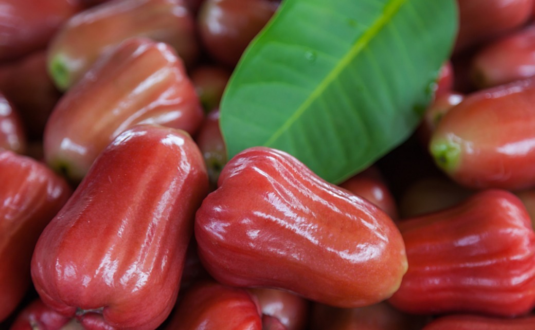 淡化|女性晚上当零食吃两个,防皱补水,淡化黑斑,宁心安神,早食早好