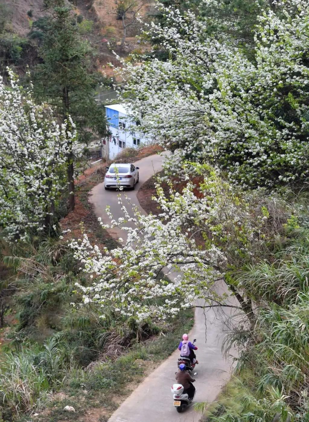 云浮大金山，有个像丹巴一样的地方