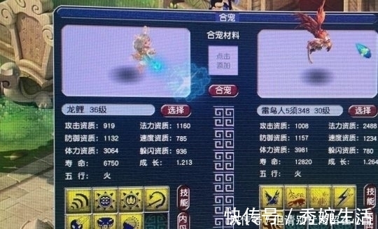 神佑|梦幻西游:新出极品140灵饰,极品宝宝追梦失败,难受想哭!