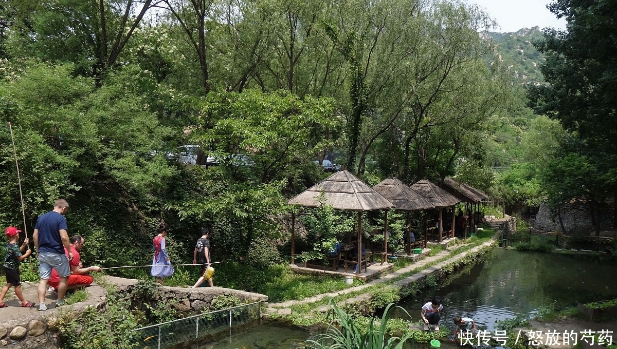 钓位|虽然水草处钓鱼效果不错,但忽视这5点,同样等于“”瞎胡跑”