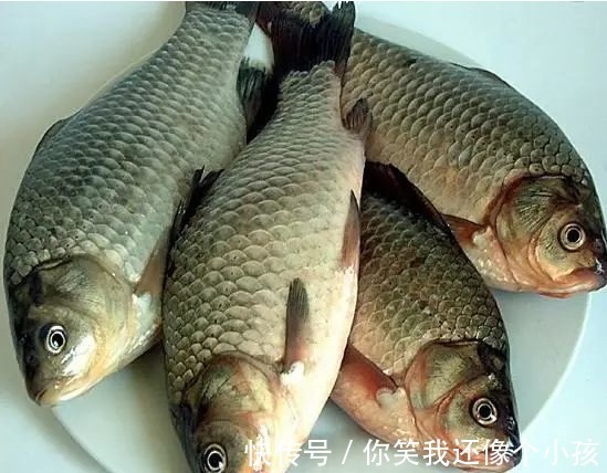 鱼肉|别再被卖鱼的骗了！这几种鱼才是营养价值最高的，美味又养生！
