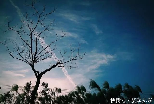  玲珑|一科状元，二朝帝师，三面玲珑的军机大臣，为何最后革职