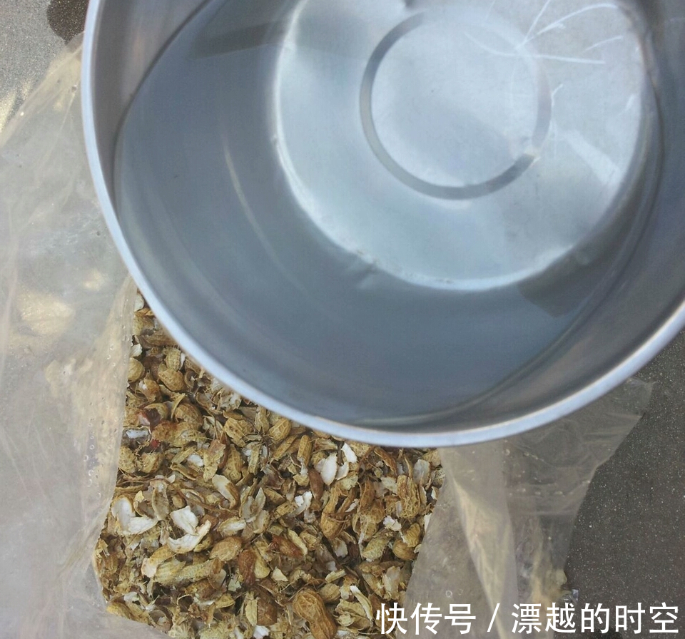 吊兰|养花加点“花生壳”,提前“多做1步”,土壤疏松肥沃,养啥旺啥