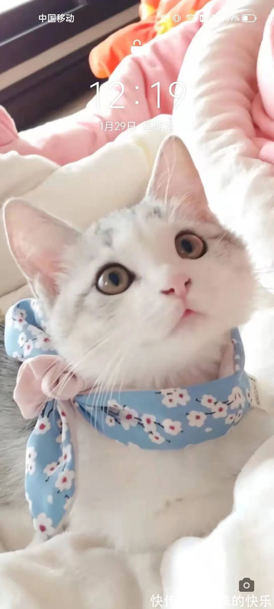 拜年|必存!新年拜年表情包丨第310期热门表情包