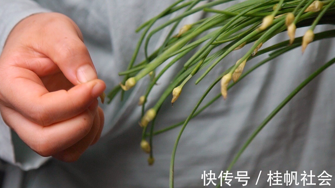 可口|韭菜梗鸡蛋饼，美味可口，简单好做