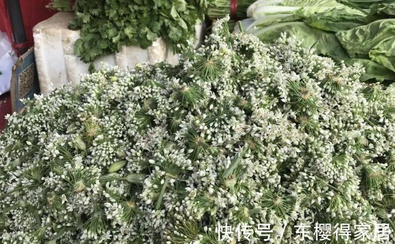 大娘|韭花酱别只加盐，内蒙大娘分享秘制做法，鲜嫩美味，蘸食拌饭都香