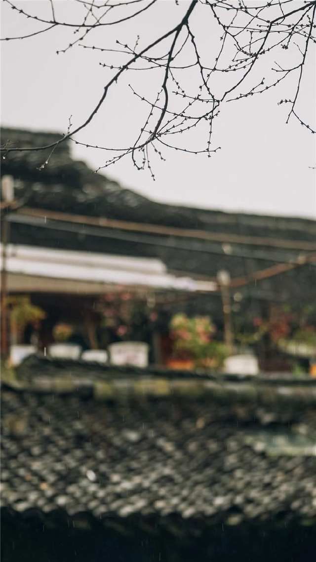 春雷始鸣,乌镇“慢直播”带你“云春游”,看小镇有多美