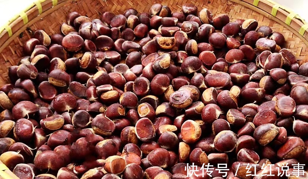 冬瓜|深秋了，记得要“多吃3瓜3果”，低脂营养又润肺，应季而食身体棒！