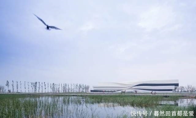 设计|未觉 十年