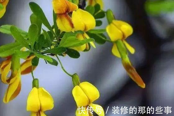 尼克酸|夏天之后,多吃的食物,滋补身体,不妨一试,预防血管疾病