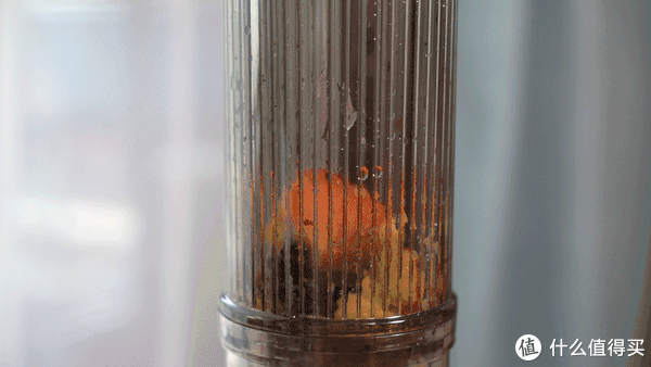 菠萝|戒了奶茶爱上原汁！看我用近十种蔬果重度折腾原汁机