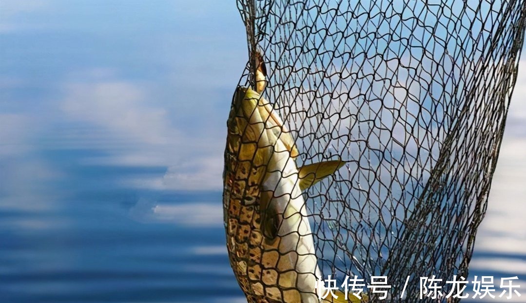 冬钓|天太冷,这样的冬钓技巧,是谁走漏了风声,我不说你会知道?