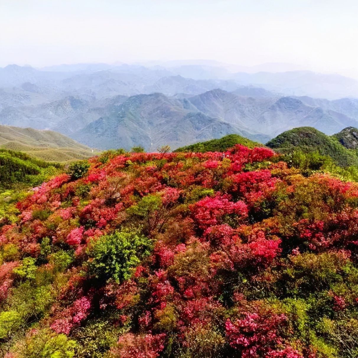 黄精|七彩百丈来啦！来一场特别的“沉浸式”秋游~