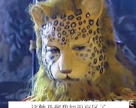 最近的朋友圈,跑进来一只豹子