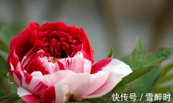 洞察力|9月上旬(9月7号)开始,摆脱厄运,财运满满,事业卓尔不凡