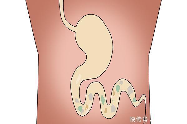 意思|“想不生病,肚里常空”是什么意思?肚子越空,身体越好?