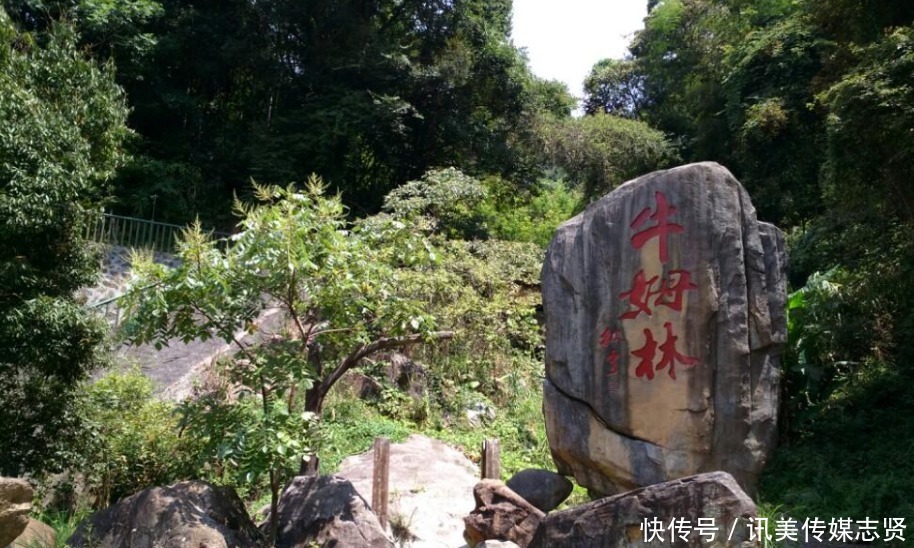 闽南“小西双版纳”景区，门票50回头客居多，就在泉州