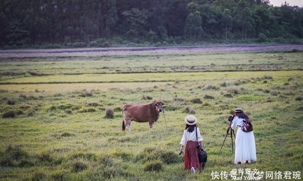 白海豚|三娘湾人气不如银滩金滩，这里风光异常独特，因为原生态免费开放