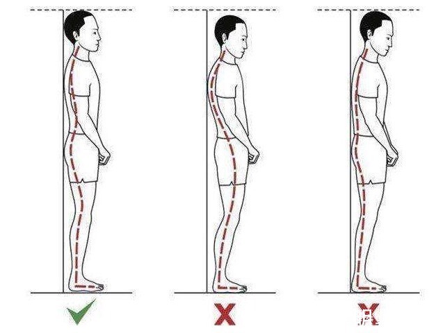 臀中肌|“背厚一寸,人老十分”,每天就这样坚持站10分钟,好处自然来