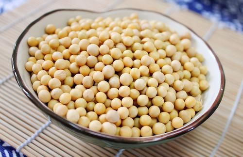 喜欢养绿植就多备些“黄豆水”，居家自制，不用多花钱、效果好