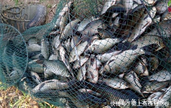 冬季钓鱼技巧风向与钓鱼的关系，冬季什么风向鱼最好钓