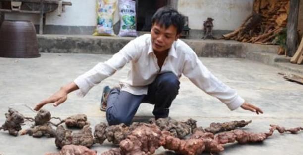 肾脏|天然的“雄激素”找到了,男性睡前吃一点,肾脏“杠杠硬”