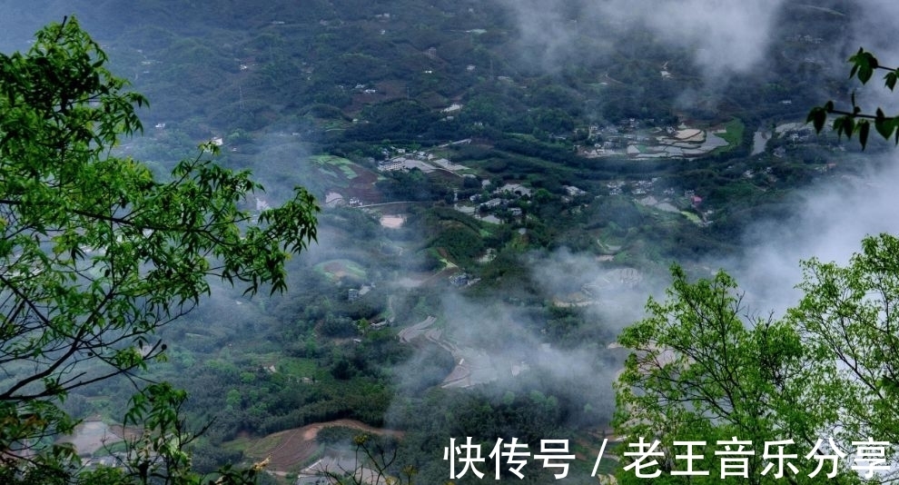 飞瀑|四川罕见的竹林景区，面积120平方公里，老人孩子都喜欢