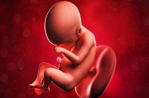 孕妈|原来孕妈做的一些事,可都是会影响胎儿的“颜值”的“天敌”