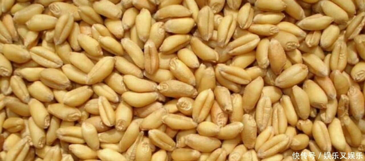 大蒜|抗衰老,永葆年轻,可多吃这12种食物,爱吃的人有福了!