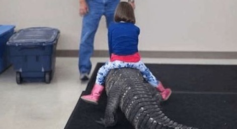 小棉袄|午睡起来发现女儿不见了,来到客厅看的画面,顿时大汗直流