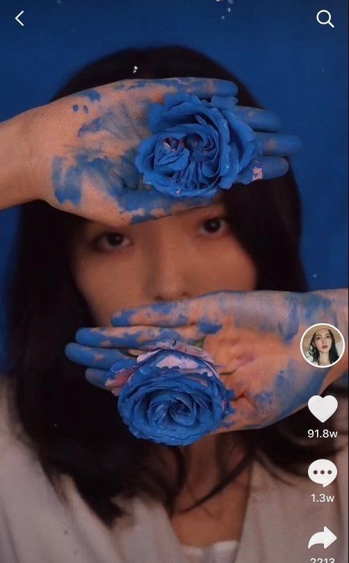 李子柒$一个人,一支笔,拥粉近千万,赵小黎是如何在绘画领域一路蹿红的?