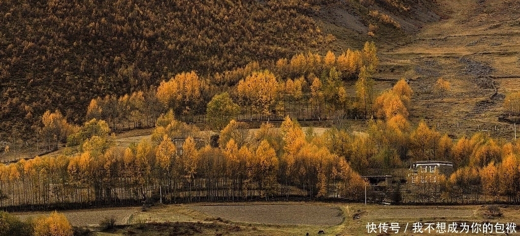 雅鲁藏布江|红叶、雪山、雅鲁藏布江，稻城亚丁和大兴安岭 由南到北体验初秋