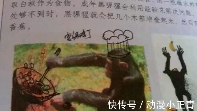 等级|课本涂鸦也分等级？LV1画胡子帽子，LV6直接做成动画！