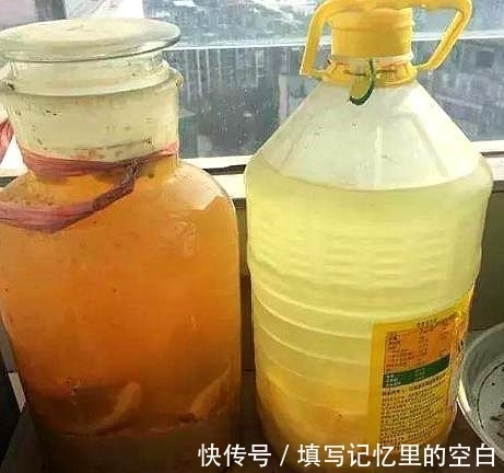 叶片|新手养兰花，这种肥最好别用，很容易“烧苗”