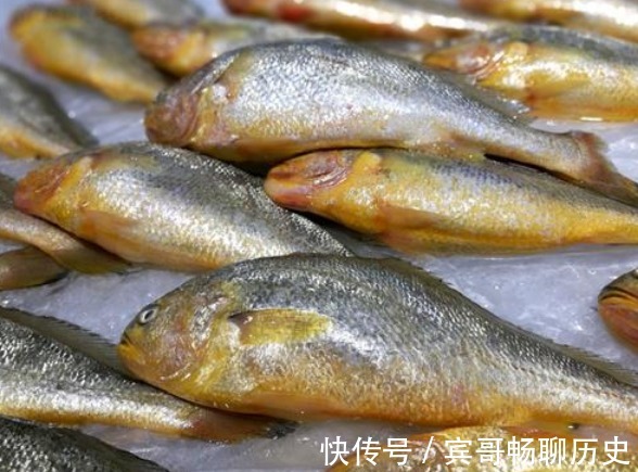 爱吃鱼,认准4种买,目前无法人工养殖,营养高味道鲜,还便宜