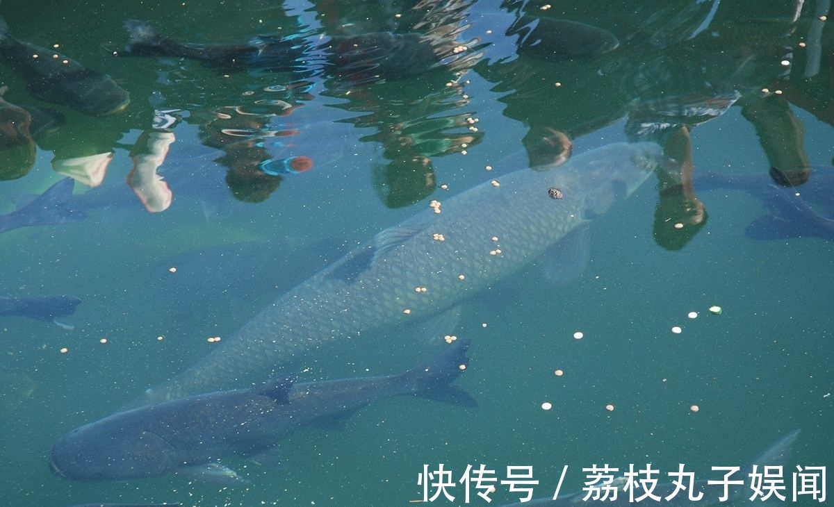 冬季找鱼窝的2大策略,有鱼群活动的地方,一眼就能看出来