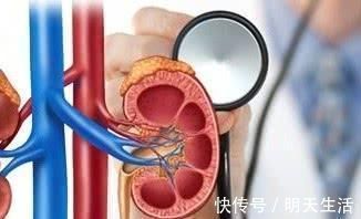 老年痴呆|失眠是长寿路上的“绊脚石”,简单四招,助你沾床就睡,比猪香甜