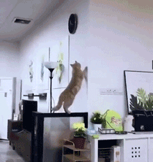 |搞笑GIF:这才是真坑!人没事吧!