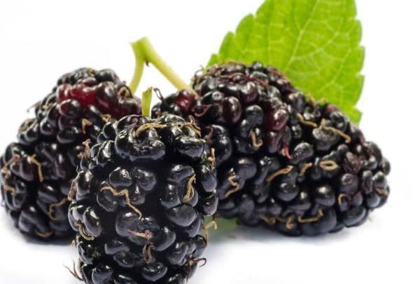 健脾|男人40后不持久不用愁,多吃这几种食物,帮你重振男人雄风