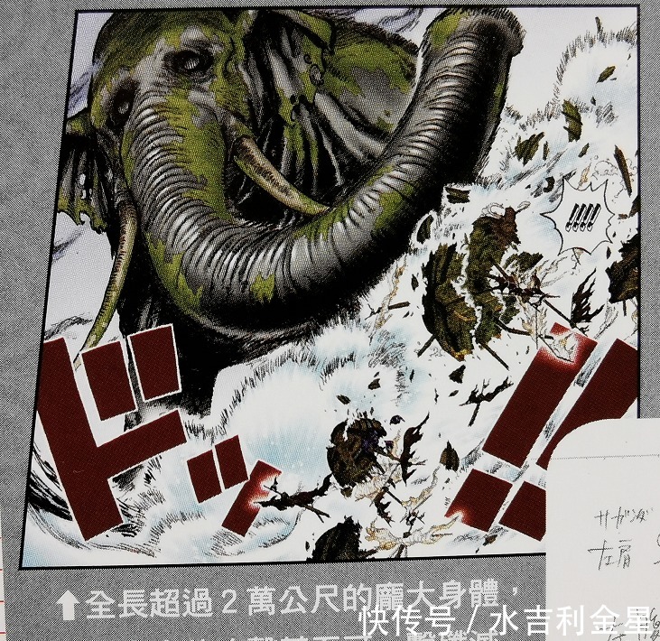 情报|海贼王官方情报身高超35000米,一鼻甩飞三灾JACK, 巨大生物象主