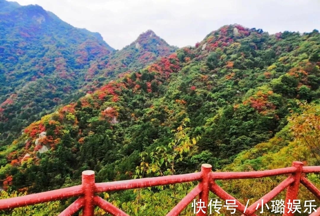 坐标|自驾游河南，赏遍中原红叶，趁免票，赶紧去这6个最美景区