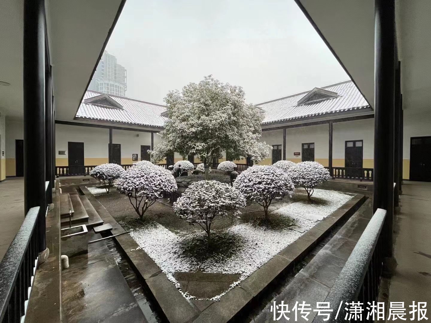 长沙|长沙初雪自带美颜滤镜，校园里“千树万树梨花开”